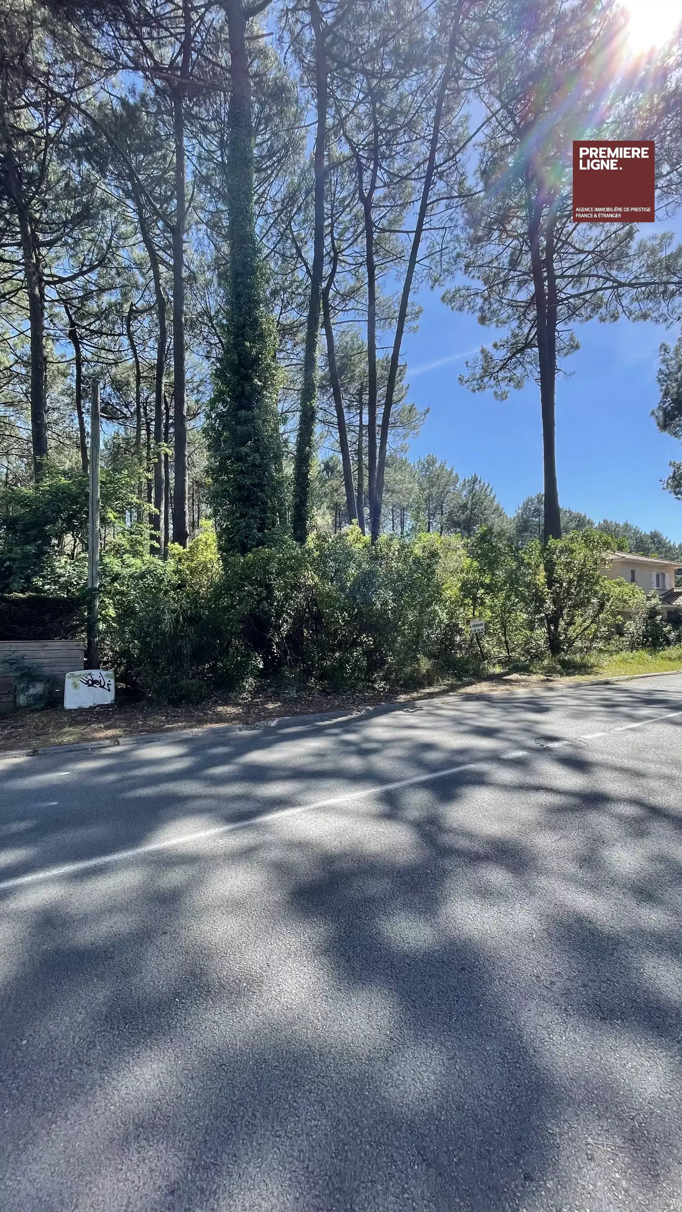 Exceptionnel écrin nature à deux pas du lac de Lacanau – 1011 m² de sérénité — photo 2