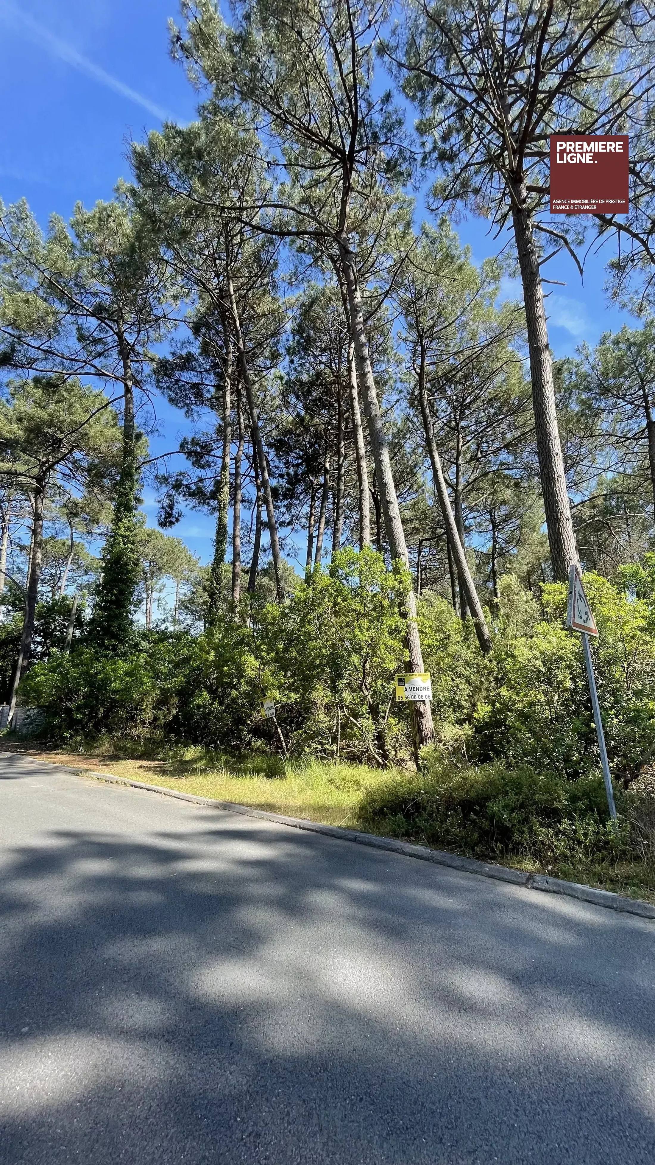 Exceptionnel écrin nature à deux pas du lac de Lacanau – 1011 m² de sérénité — photo 4